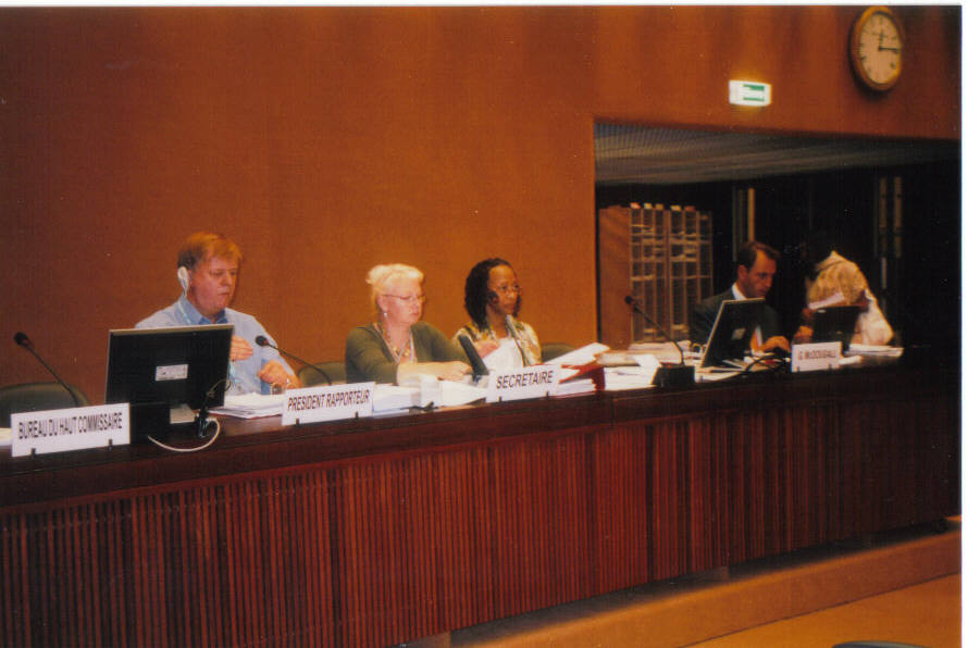 UN representatives including Gay McDougall at a Working Group on Minorities session